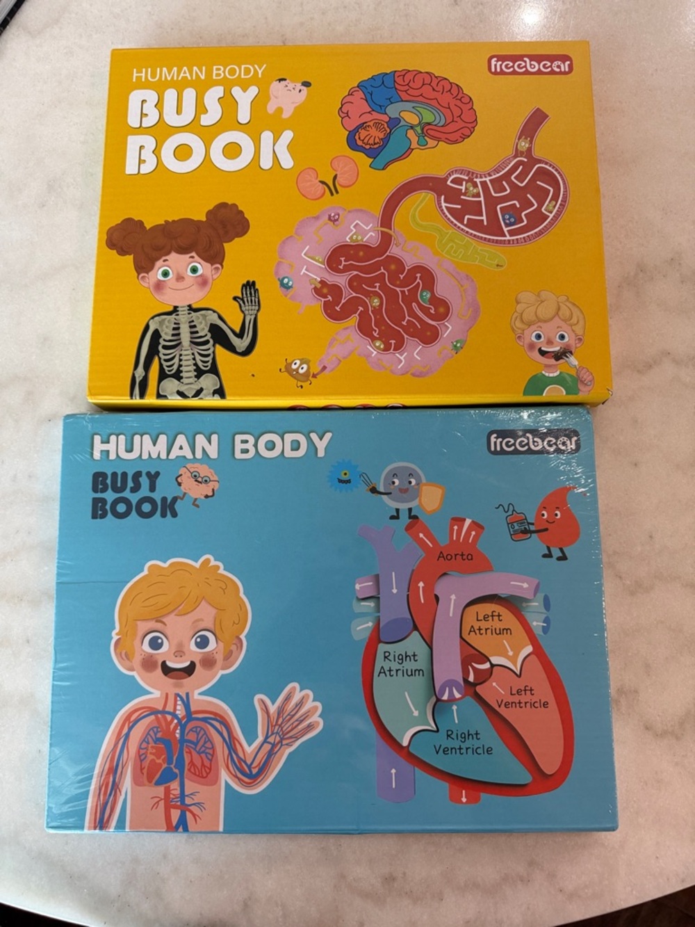 Freebear Human Body Busy Books (2)